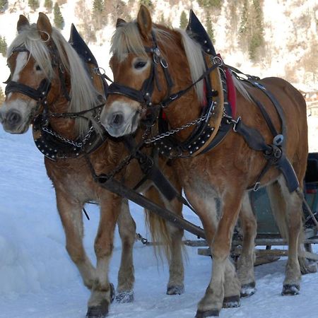 Hotel Monte Civetta Alleghe Esterno foto