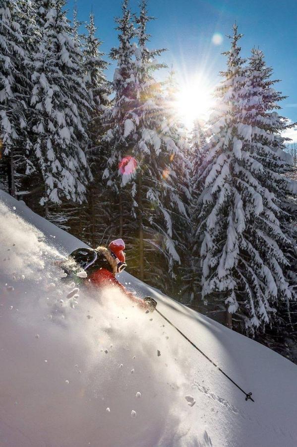 Hotel Monte Civetta Alleghe Esterno foto