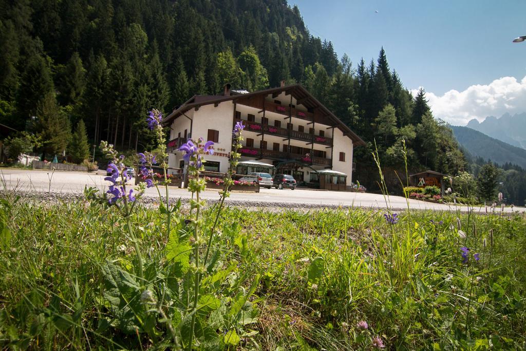 Hotel Monte Civetta Alleghe Esterno foto